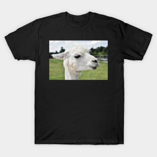 Pretty Llama Photograph T-Shirt